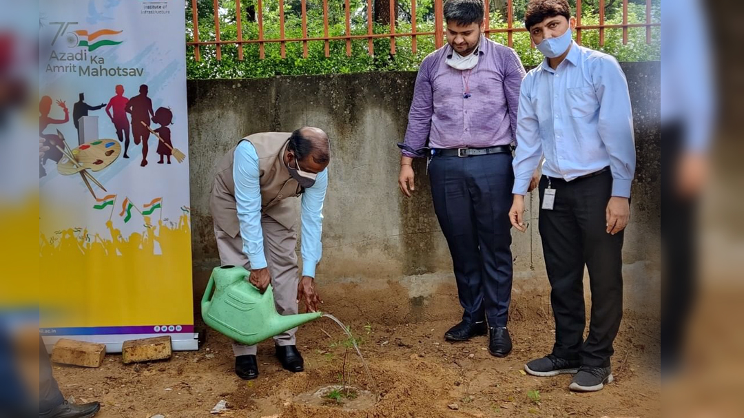 Tree Plantation 6