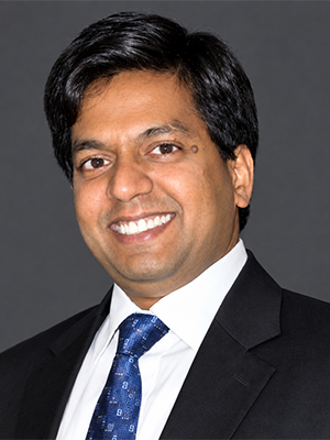 Mr. Vijay Gupta